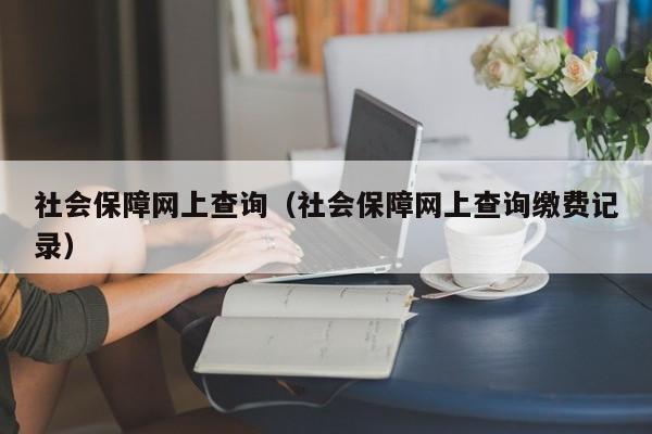 社会保障网上查询（社会保障网上查询缴费记录）