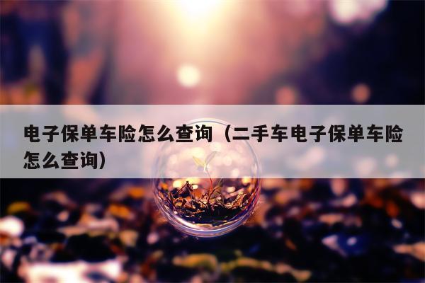 电子保单车险怎么查询（二手车电子保单车险怎么查询）