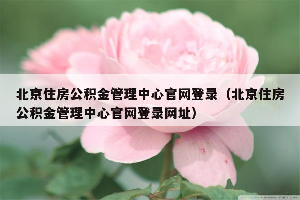 北京住房公积金管理中心官网登录（北京住房公积金管理中心官网登录网址）