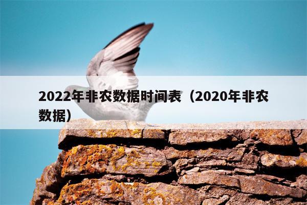 2022年非农数据时间表（2020年非农数据）