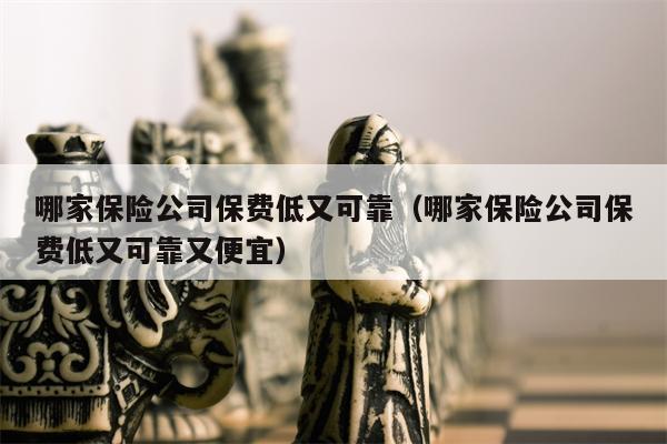 哪家保险公司保费低又可靠（哪家保险公司保费低又可靠又便宜）