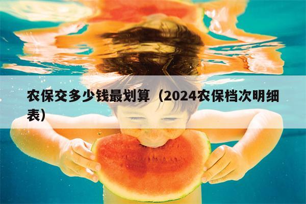 农保交多少钱最划算（2024农保档次明细表）