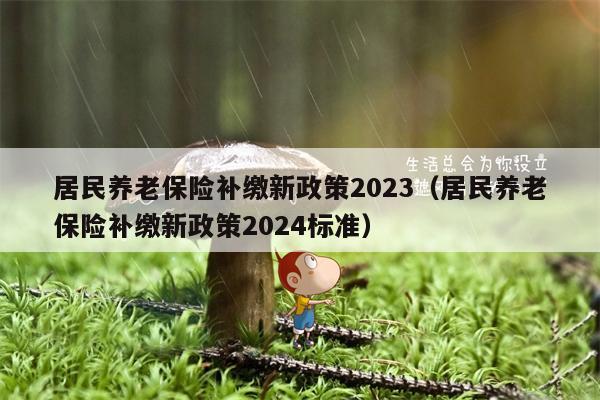 居民养老保险补缴新政策2023（居民养老保险补缴新政策2024标准）