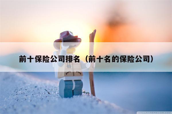 前十保险公司排名（前十名的保险公司）