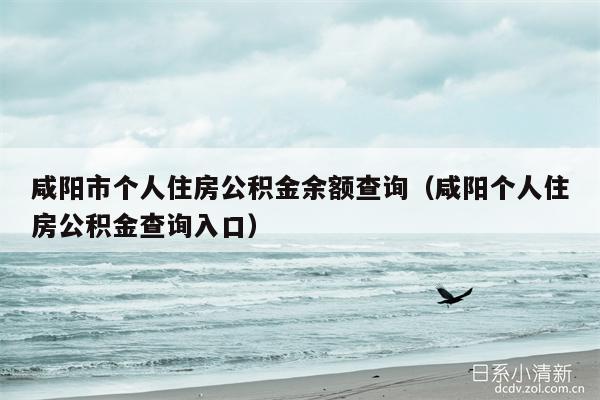 咸阳市个人住房公积金余额查询（咸阳个人住房公积金查询入口）