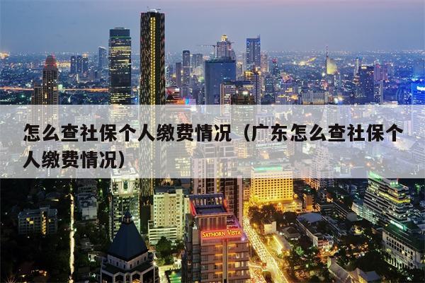 怎么查社保个人缴费情况（广东怎么查社保个人缴费情况）