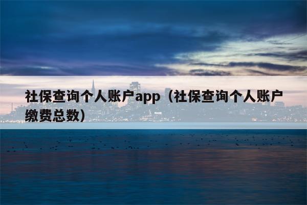 社保查询个人账户app（社保查询个人账户缴费总数）