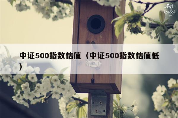 中证500指数估值（中证500指数估值低）