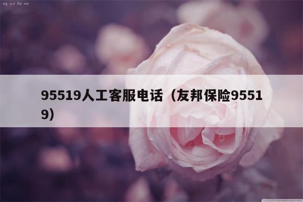 95519人工客服电话（友邦保险95519）