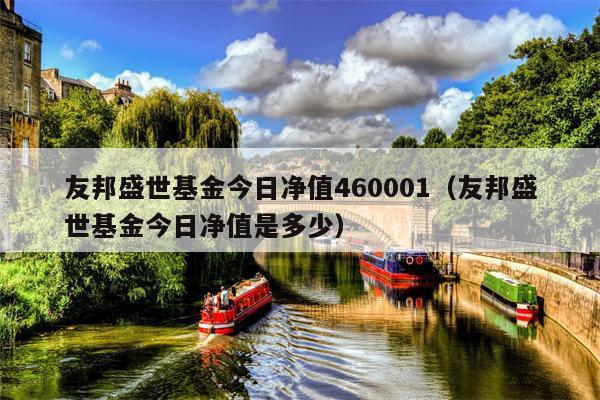 友邦盛世基金今日净值460001（友邦盛世基金今日净值是多少）