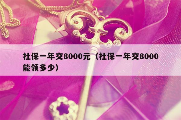 社保一年交8000元（社保一年交8000能领多少）