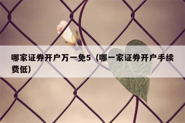 哪家证券开户万一免5（哪一家证券开户手续费低）