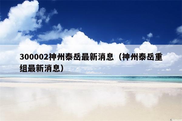 300002神州泰岳最新消息（神州泰岳重组最新消息）