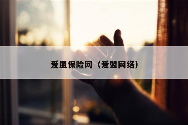 爱盟保险网（爱盟网络）