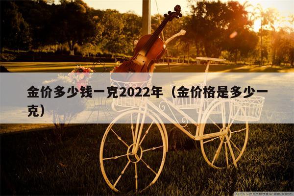 金价多少钱一克2022年（金价格是多少一克）