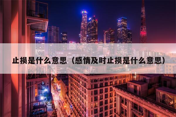 止损是什么意思（感情及时止损是什么意思）