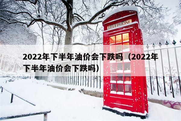 2022年下半年油价会下跌吗（2022年下半年油价会下跌吗）