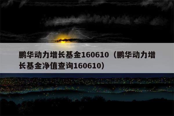 鹏华动力增长基金160610（鹏华动力增长基金净值查询160610）