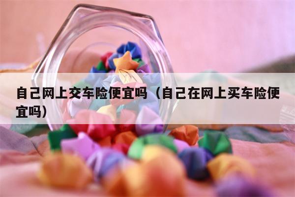 自己网上交车险便宜吗（自己在网上买车险便宜吗）