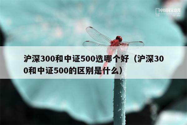 沪深300和中证500选哪个好（沪深300和中证500的区别是什么）