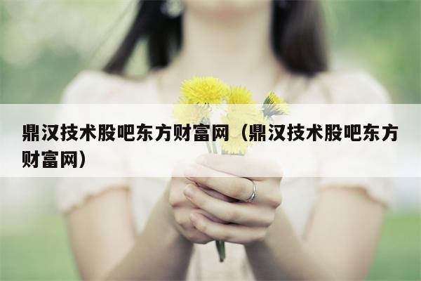 鼎汉技术股吧东方财富网（鼎汉技术股吧东方财富网）