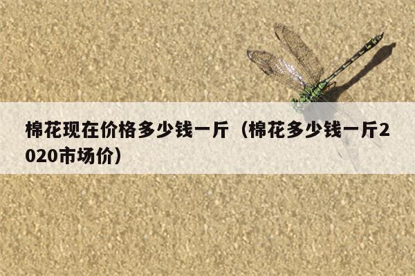 棉花现在价格多少钱一斤（棉花多少钱一斤2020市场价）