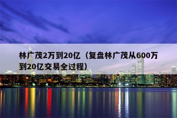 林广茂2万到20亿（复盘林广茂从600万到20亿交易全过程）