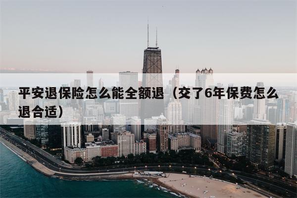 平安退保险怎么能全额退（交了6年保费怎么退合适）