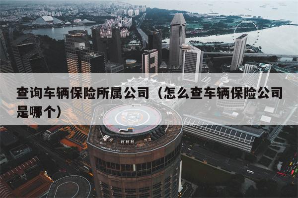 查询车辆保险所属公司（怎么查车辆保险公司是哪个）