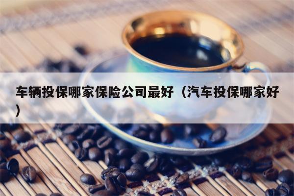 车辆投保哪家保险公司最好（汽车投保哪家好）