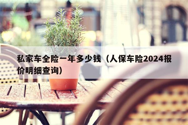 私家车全险一年多少钱（人保车险2024报价明细查询）