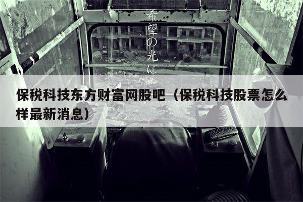 保税科技东方财富网股吧（保税科技股票怎么样最新消息）