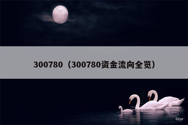 300780（300780资金流向全览）