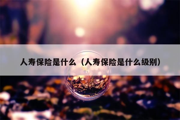 人寿保险是什么（人寿保险是什么级别）