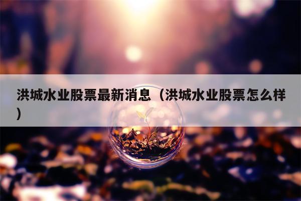 洪城水业股票最新消息（洪城水业股票怎么样）