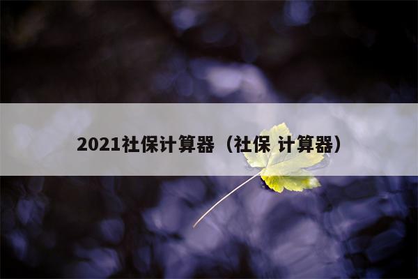 2021社保计算器（社保 计算器）