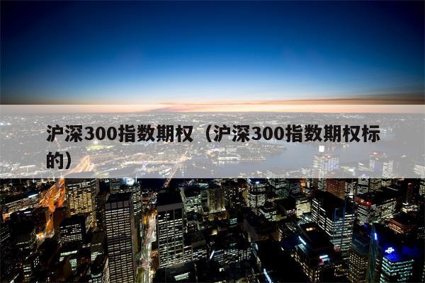 沪深300指数期权（沪深300指数期权标的）