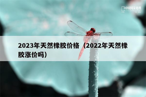 2023年天然橡胶价格（2022年天然橡胶涨价吗）