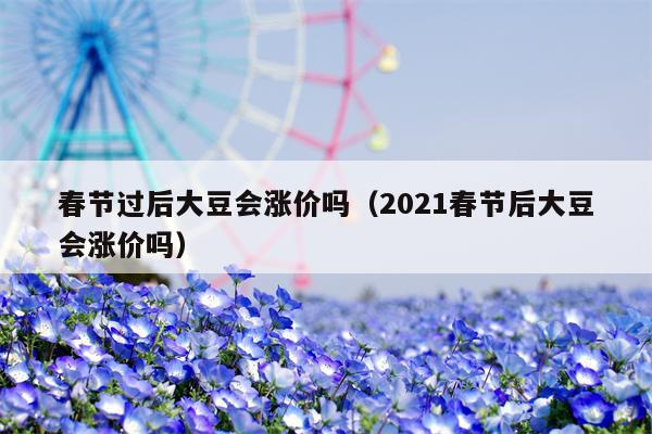 春节过后大豆会涨价吗（2021春节后大豆会涨价吗）