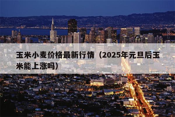 玉米小麦价格最新行情（2025年元旦后玉米能上涨吗）