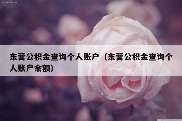 东营公积金查询个人账户（东营公积金查询个人账户余额）