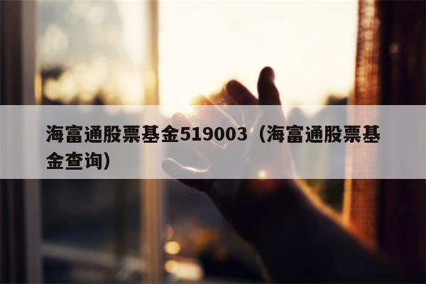 海富通股票基金519003（海富通股票基金查询）