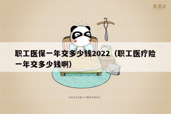 职工医保一年交多少钱2022（职工医疗险一年交多少钱啊）