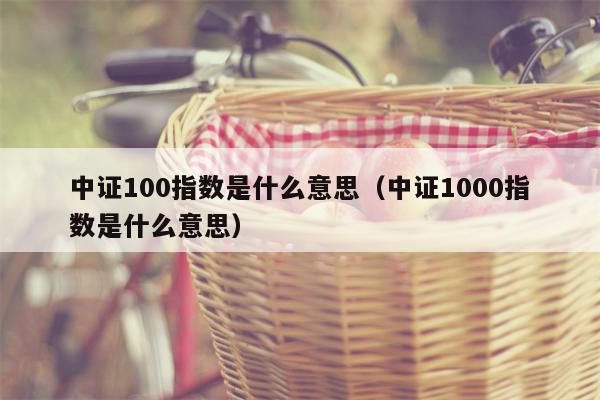 中证100指数是什么意思（中证1000指数是什么意思）