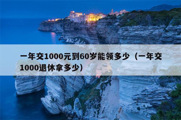 一年交1000元到60岁能领多少（一年交1000退休拿多少）