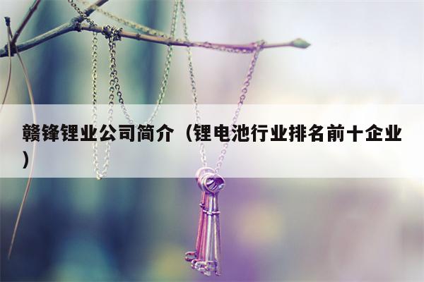 赣锋锂业公司简介（锂电池行业排名前十企业）