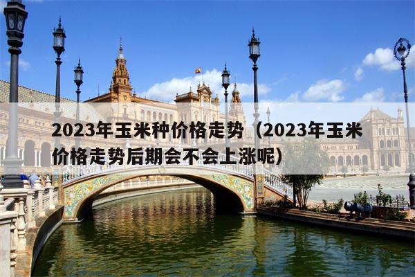 2023年玉米种价格走势（2023年玉米价格走势后期会不会上涨呢）