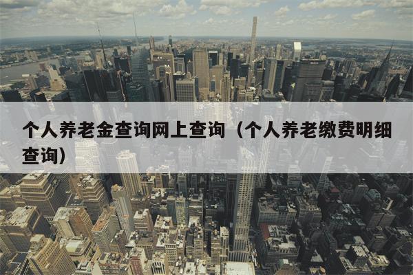 个人养老金查询网上查询（个人养老缴费明细查询）