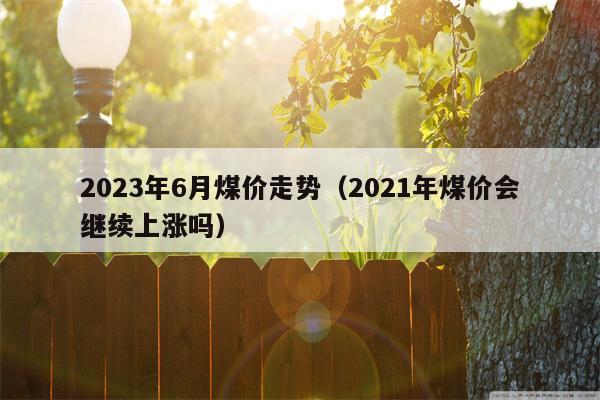 2023年6月煤价走势（2021年煤价会继续上涨吗）