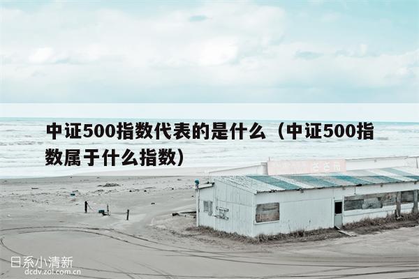 中证500指数代表的是什么（中证500指数属于什么指数）